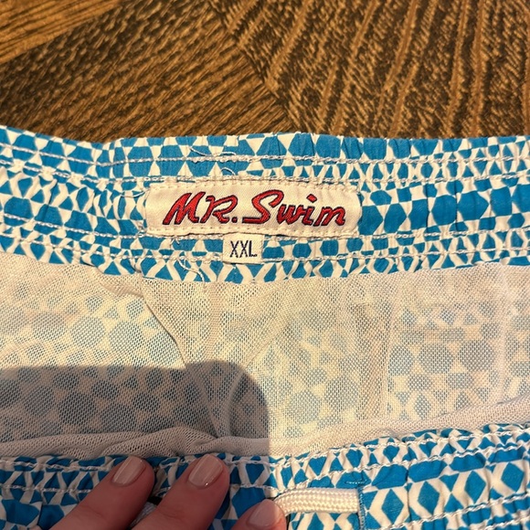 Mr. Swim Bathing Suit - Picture 2 of 3